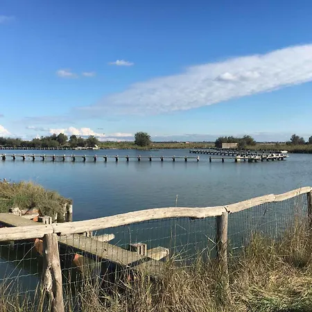 Apartment In 39999